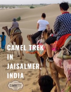 Camel Trak In India Content Creation Pinterest Creative